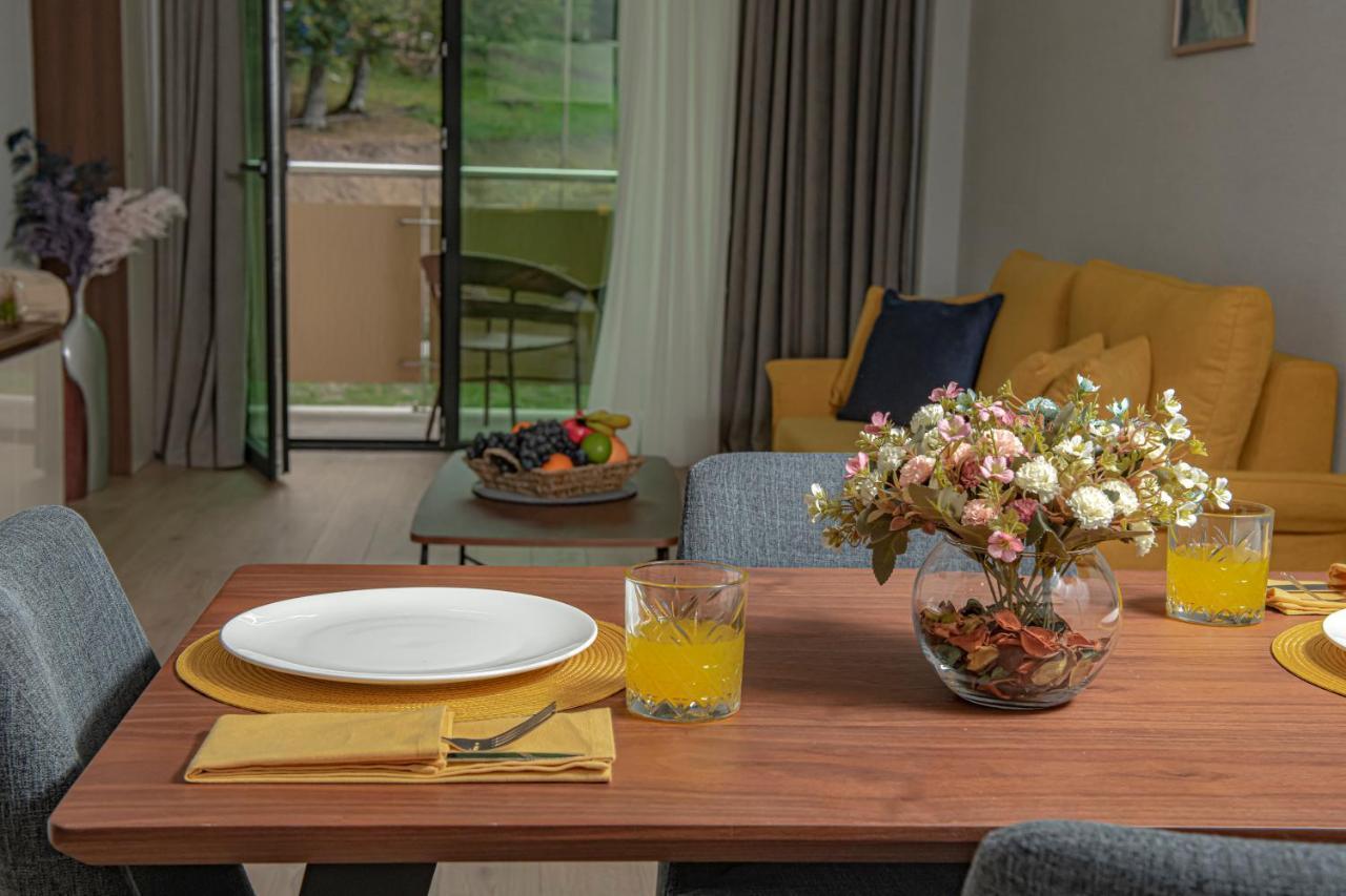 Crystal Residence 바쿠리아니 외부 사진